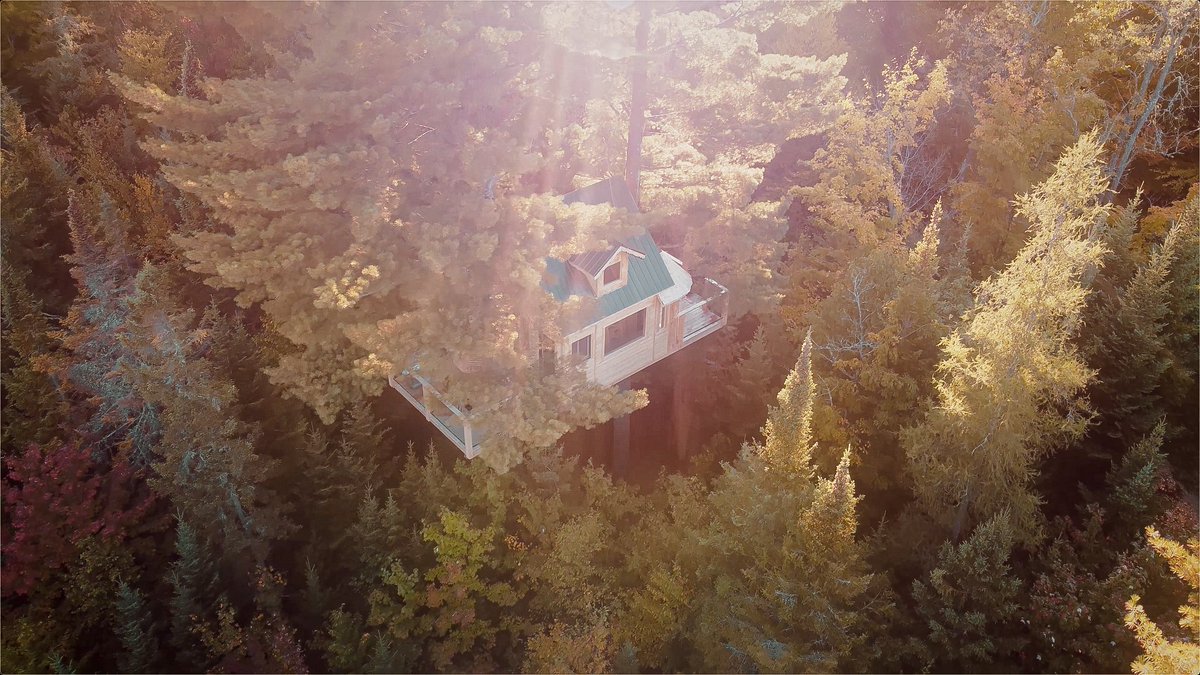 Escapade aventure! Réservez votre séjour dans l'une des plus hautes cabanes perchées du monde!
Adventure getaway! Book your stay in one of the world's highest treehouses!