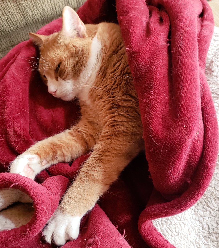OscarsRant's tweet photo. I'm taking a mental health break from Twitter.  Maybe a couple days.  Maybe whatever. Gonna chill with my buddy Fred. https://t.co/E7MmpsxaMM