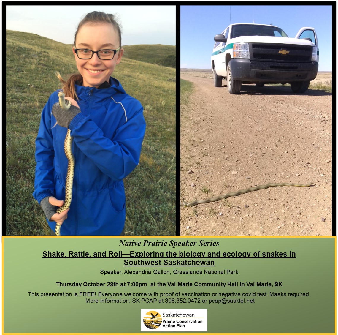 Presentation: "Shake, Rattle, and Roll—Exploring the biology and ecology of snakes in Southwest Saskatchewan"
Speaker: Alexandria Gallon, Grasslands National Park
October 28 at 7pm in Val Marie, SK
Everyone welcome with proof of vaccination or negative covid test. Masks required.