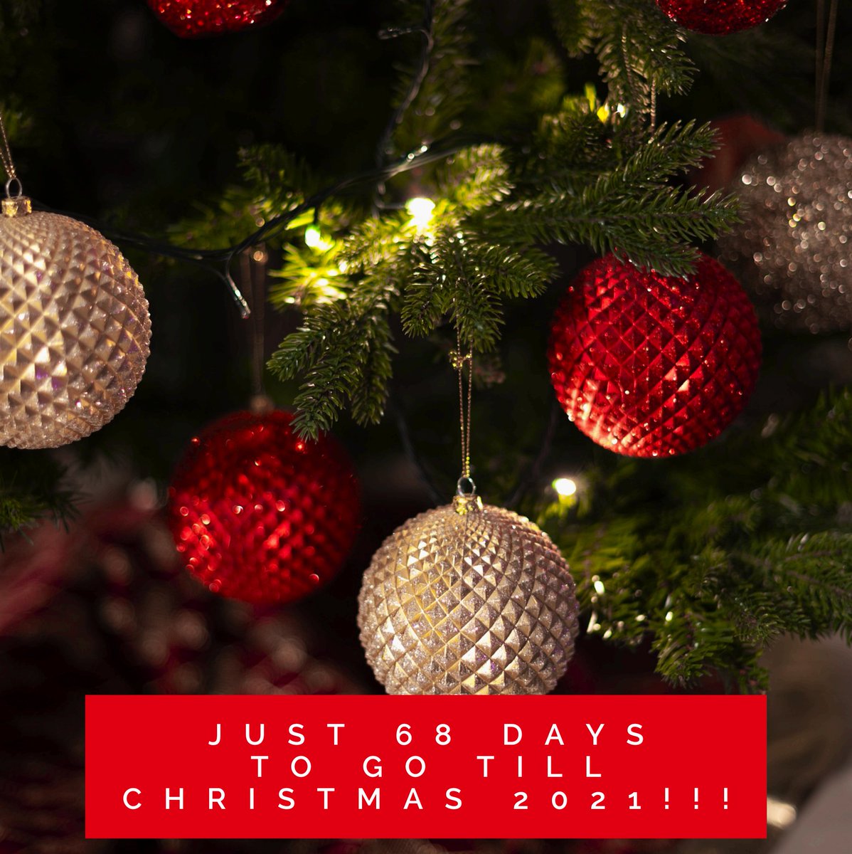 BlessdOccasion's tweet photo. It's coming!!! Christmas 2021 is on its way!! https://t.co/zPdOsWIgsq