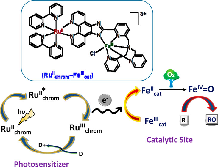 bhkenlo's tweet photo. Bioinspired Heterobimetallic Photocatalyst (RuIIchrom−FeIIIcat) for Visible-Light-Driven C–H Oxidation of Organic Substrates via Dioxygen Activation https://t.co/kWFDQ6CcH4 Kumar and co-workers @InorgChem #ruthenium #iron #photocatalysis #CHoxidation #O2 #TEOA #FeIVoxo #nonheme https://t.co/5VE3BIGeiQ