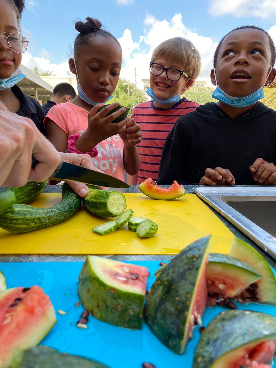 That l👀k when you’ve done the math and you know you’re getting seconds 🥒 @glecpva we #growwhatweeat #gardenfood #seedtotable