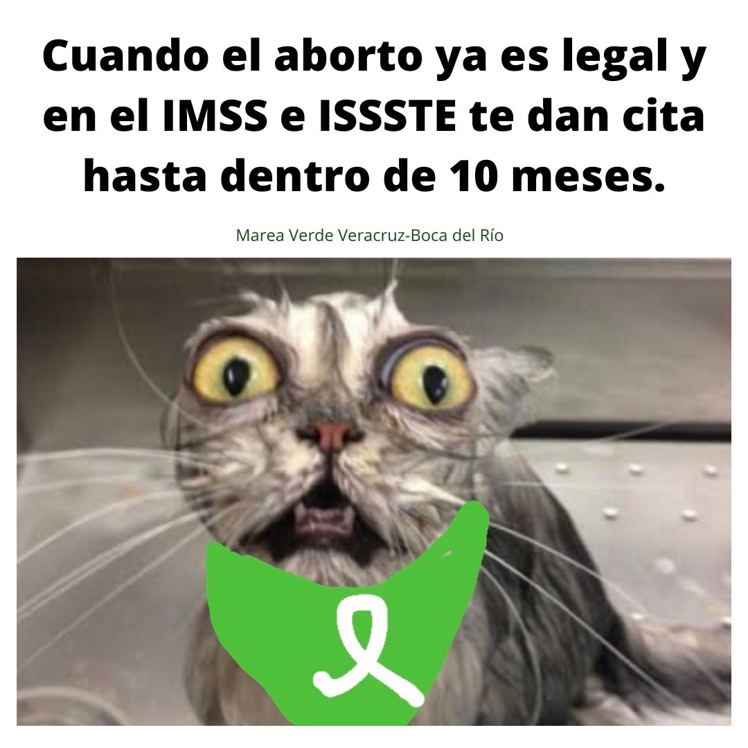 MareaVerdeVerBR's tweet photo. Plop! 🥴💚 #abortolegal #yaesleyveracruz #mareaverde #tudecides  #imms #issste https://t.co/VODSBOOByz