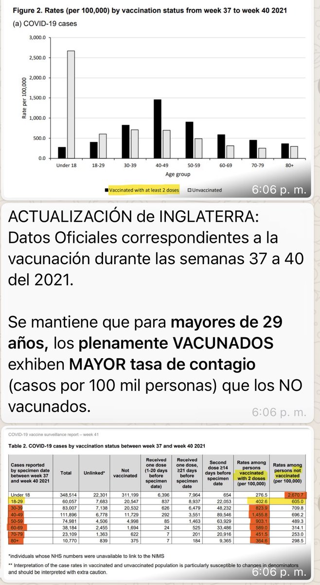 Pelegrin Castillo. tweet media