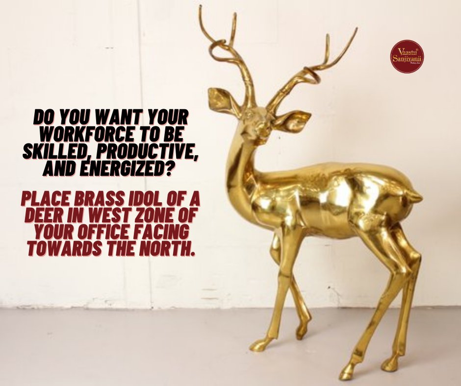 VVaastu's tweet photo. Do you want your workforce to be skilled, productive and energized? Place Brass Idol of a deer in West Zone of your office facing towards the North Zone.

#VastuTip #Deer #Brass #Vastu #VastuForOffice #Skilled #WorkForce #Productivity #North #West #VasstuSanjivanii #NeenaArora https://t.co/WopZPh9PoY