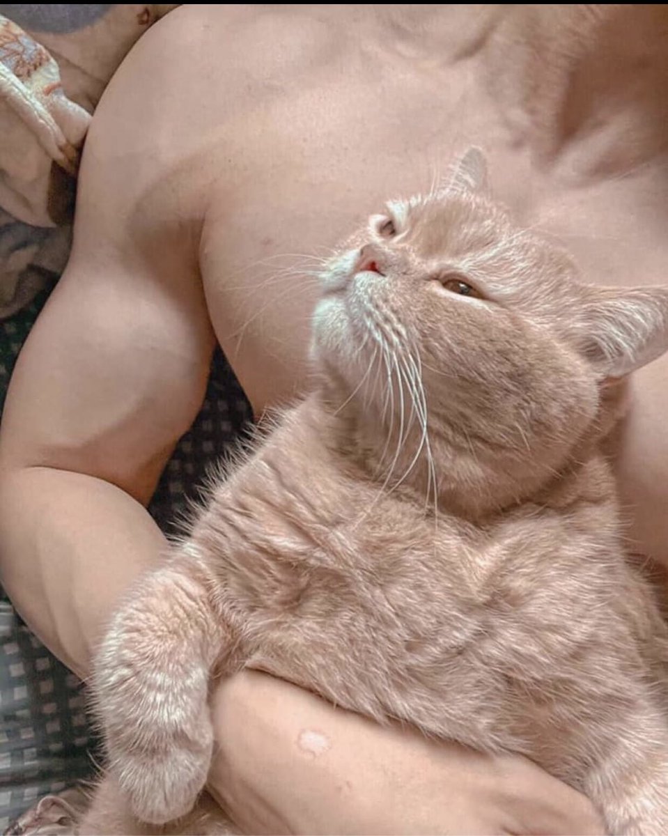 bisexualman99's tweet photo. Có ai thích nui Meow không ạ 😘 https://t.co/JQn6lTPRC4