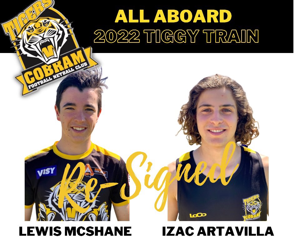 🐯🚂