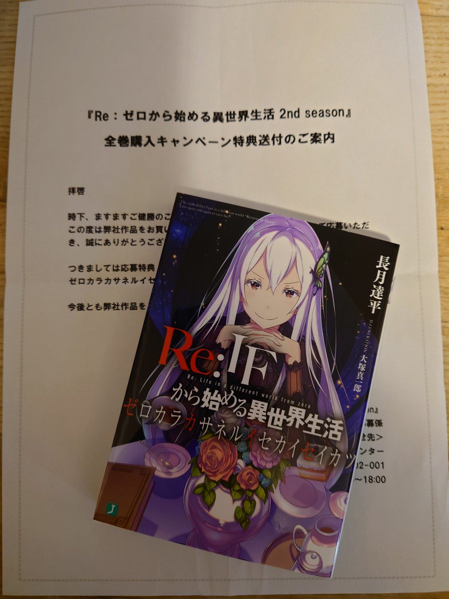 少し豊富な贈り物 リゼロ If 特典送付案内書付き 文学 小説 Www Marinemastertrailers Com