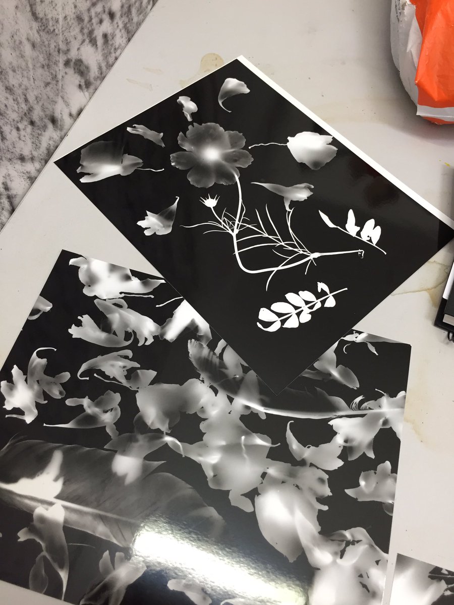 TheBridge_Arts's tweet photo. Some great work this week from our @UniKent students, exploring form through photograms in the dark room, at the Tonbridge campus of @NKCollege1
.
#tonbridgeartschool #photogram #rayogram #cameralessphotography https://t.co/PBO52y0Wh1