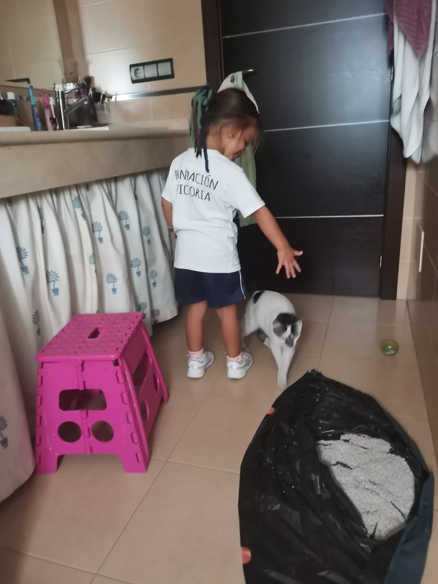 Kara_JesusDM's tweet photo. !!URGENTE!!
Gato en adopción.
Ayer encontré este gato, el cual fue abandonado. Es súper cariñoso y se nota que es doméstico, tendrá 3 o 4 meses. Yo no puedo quedármelo por tener dos. Difusión por favor. https://t.co/RbrAlVJq7D