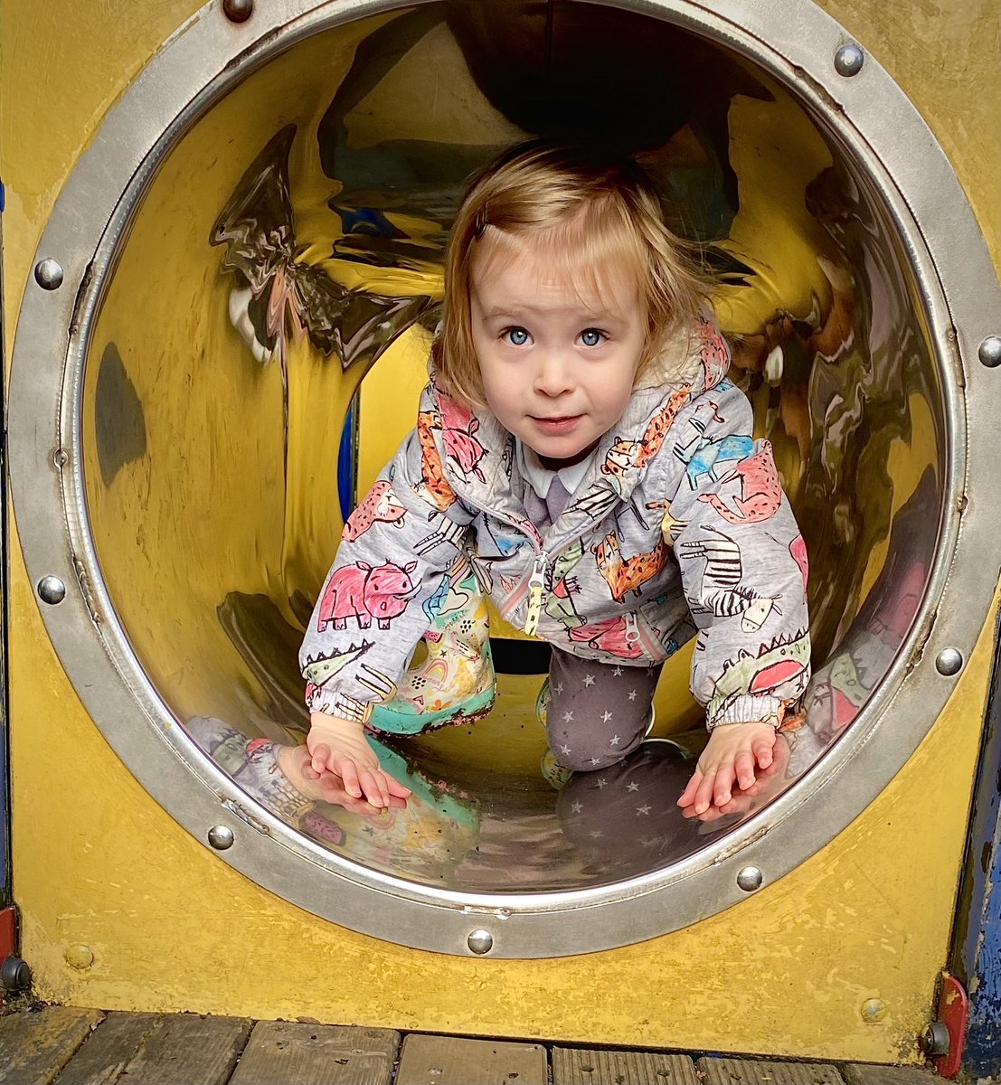 ALS177's tweet photo. Happy Birthday to my youngest granddaughter Ivy, 2 today! 🎂🎉❤️🐒 https://t.co/71qqns9hPq