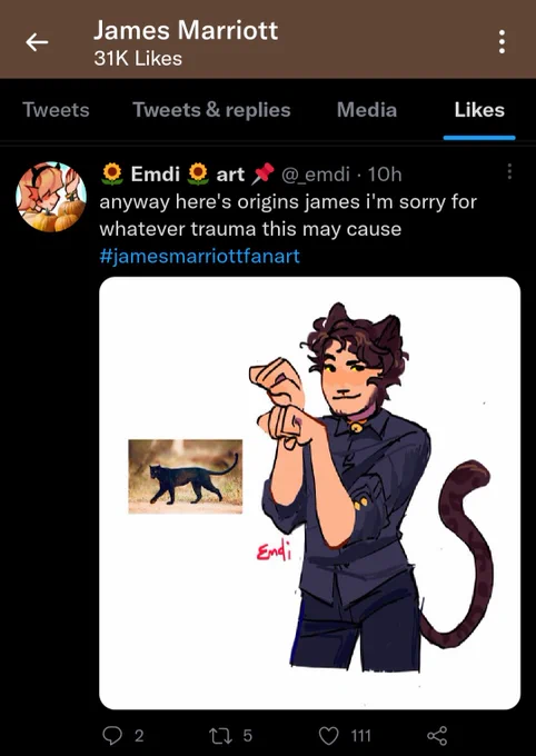 he saw the catboy drawing... help 