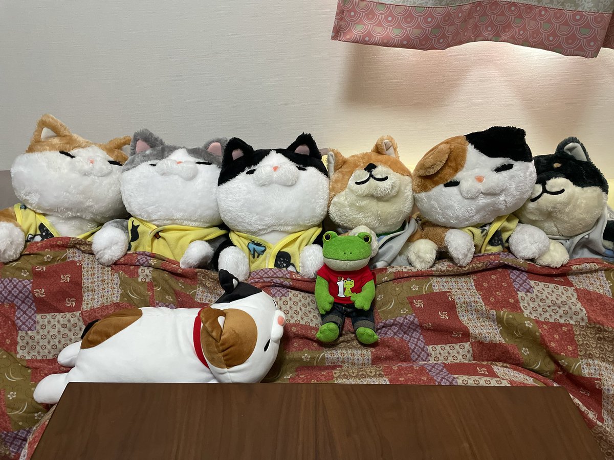 gichorabbit's tweet photo. 🐸寒いので、コタツ出しました
人間の入るとこ無いけど😂💦
#こたつ #ぬいぐるみ https://t.co/G3qlGniCtI