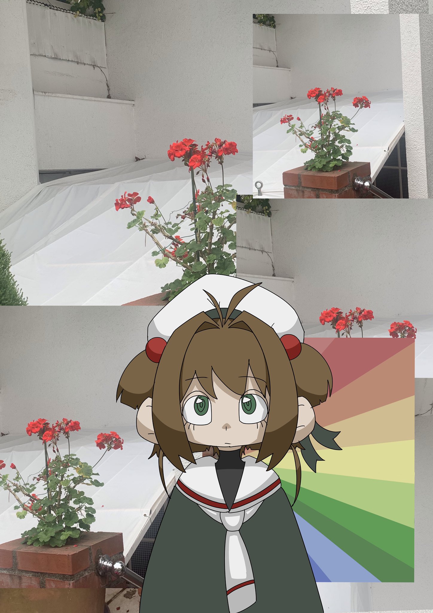 琴山 麦 Kotoyamamugi Twitter