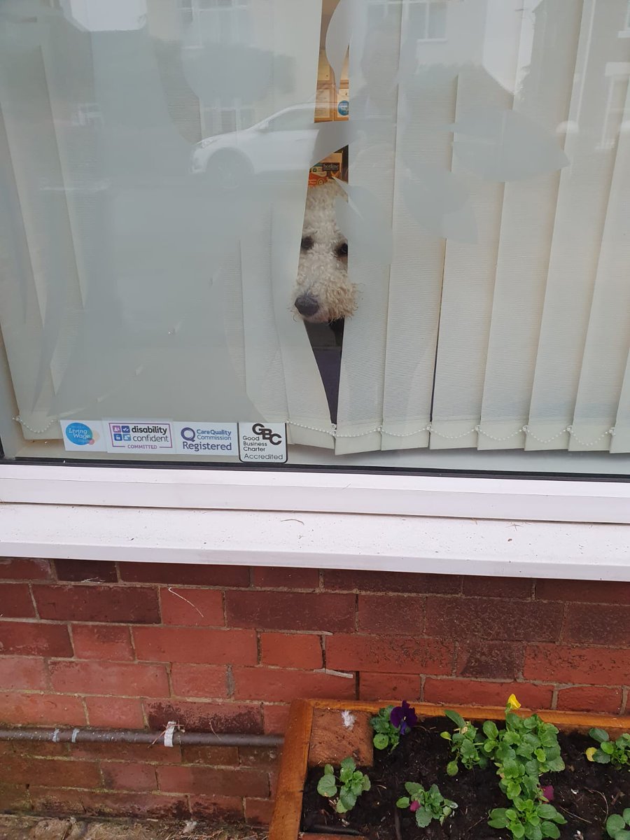 eebie7's tweet image. It's raining cats &amp;amp; dogs out there! 
Stay dry my friends ☔