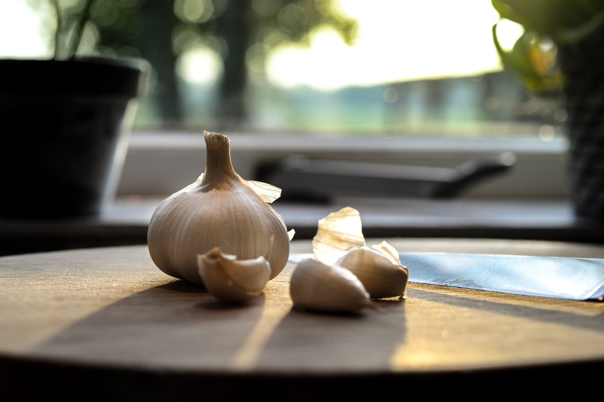 Allicin- a #phytochemical found in #garlic, reduces the production of #cholesterol by inhibiting the HMG-CoA reductase enzyme within the liver cells, thus adds to heart #health.
#FoodChemistryCongress  #Food
Check the scientific tracks of the event: bit.ly/3aQsjvS