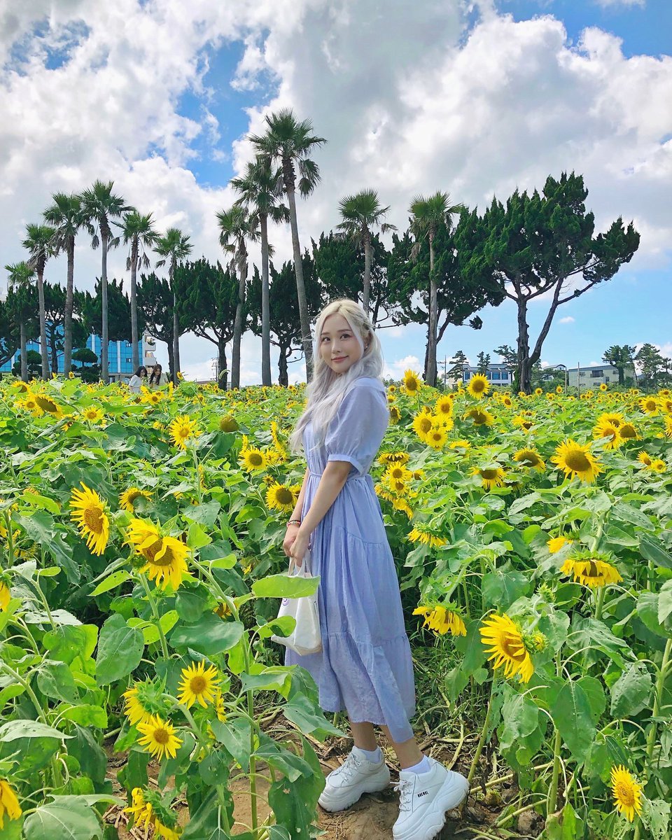 sunny flowers 🌻 #LILAC Instagram.com/lilac.universe