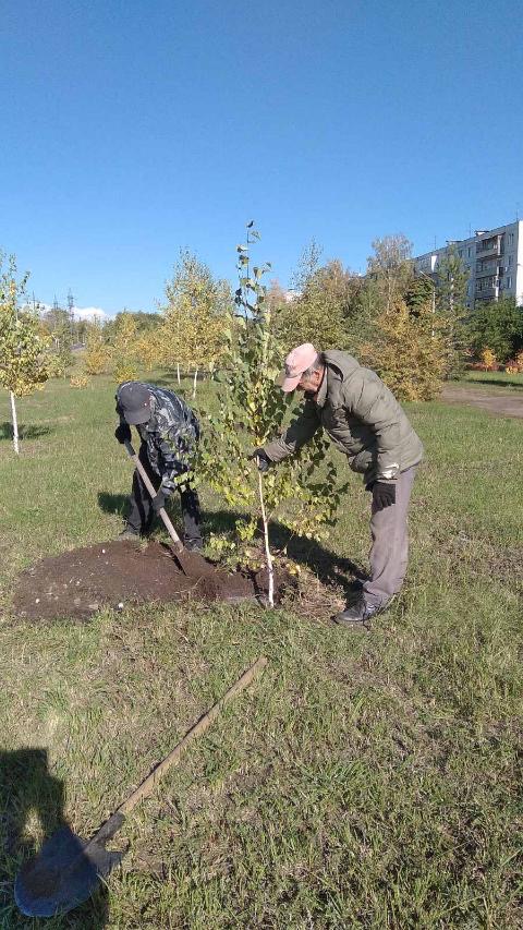 Smyshlyaevka's tweet photo. В рамках месячника по благоустройству на территории парковой зоны вдоль автомобильной дороги "Самара-Бугуруслан-Петра-Дубрава", силами МБУ "СЗТО" высажены 20 саженцев березы. https://t.co/Zq4hMoTijE