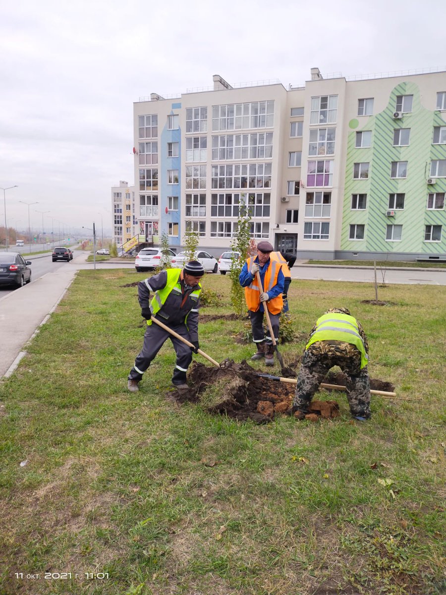 Smyshlyaevka's tweet photo. В рамках месячника по благоустройству на территории микрорайона "Кошелев-Парк", силами управляющей компании УК "Авиакор-Стандарт" была произведена высадка зеленых насаждений. https://t.co/ld18F3ktgj