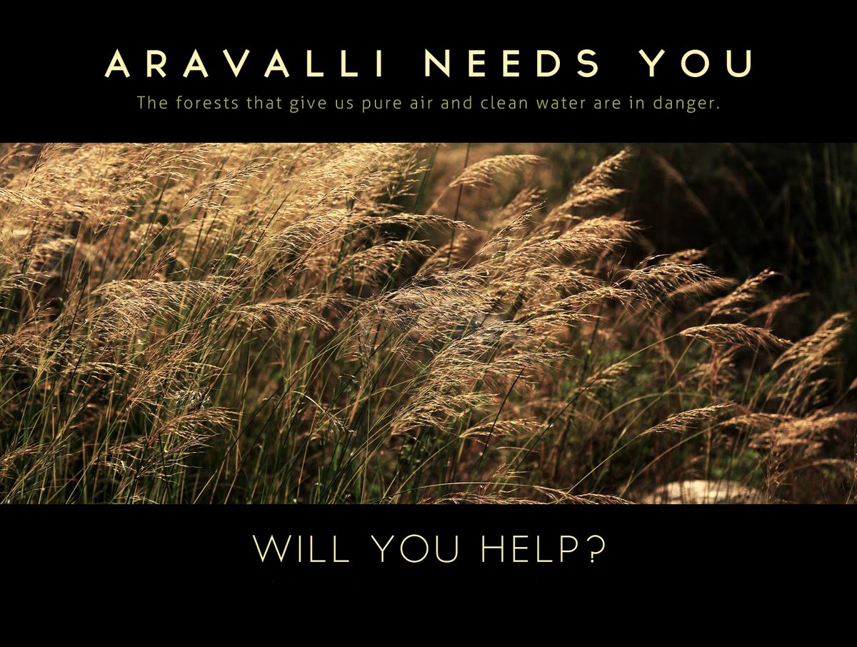 AravalliBachao's tweet photo. @Youth4Aravallis @FFFIndia @sameersrswt @pragatiprava @CliMates_ @stevenlockett @Upadhyay_Cavita @TTTimpani @iycn @TejpalS05557477 @MadhulikMani @MamtaKu57972524 @NadirAh33992036 @diveshkumar786 @yogi2yk @yoursEesha1 @rastafaribaba @RiteshEconomics Please save 20000 acres of Aravallis in Faridabad by signing this email.
https://t.co/vDEv77yxpD

@Ajatshatrud @hadiza_gaillard @PNishni @beni_wall
@CKuralkar @Rajende66036013
@MyEarthMyAction @aZ0SQ6bDjdoxz6K @Sunny77712755 @AmitKum34336126
@Pandeyunplugged @shrutiprabha97 https://t.co/qe04sRrMrz