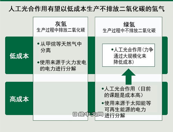 【日本领跑人工光合作用，精英前往中国】人工光合作用利用水、二氧化碳和阳光制造化学原料，三菱化学等成功完成了制取氢气的大规模验证，丰田旗下企业则实现了世界最高水平的转换率。发现人工光合作用重要原理的藤岛昭却加盟中国的大学……cn.nikkei.com/industry/scien…