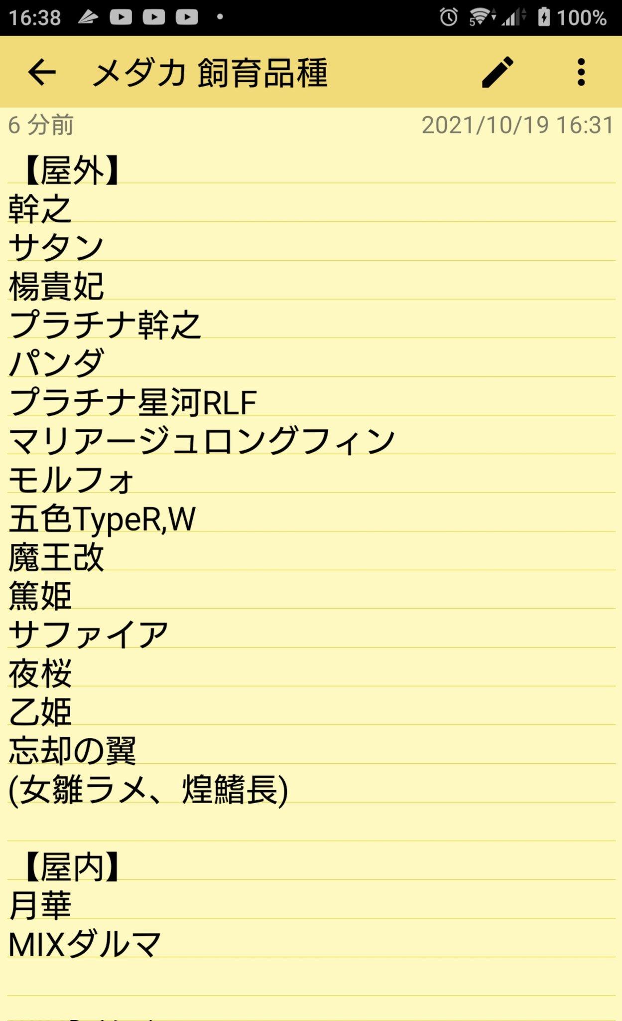 みんと生き物王国 柚めだか Mint Feremomo Twitter