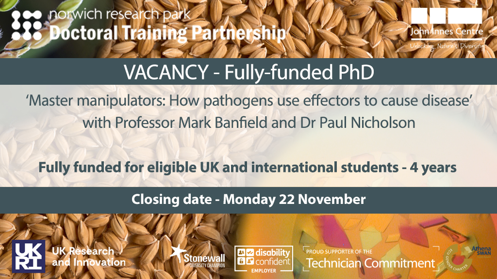 FULLY FUNDED PhD - ‘Master manipulators: How pathogens use effectors to cause disease’ with <a href="/mjbanfield/">Mark Banfield</a> and Dr Paul Nicholson

💷 - Fully funded for 4 years
📅 - Monday 22 November

okt.to/aYv3L1