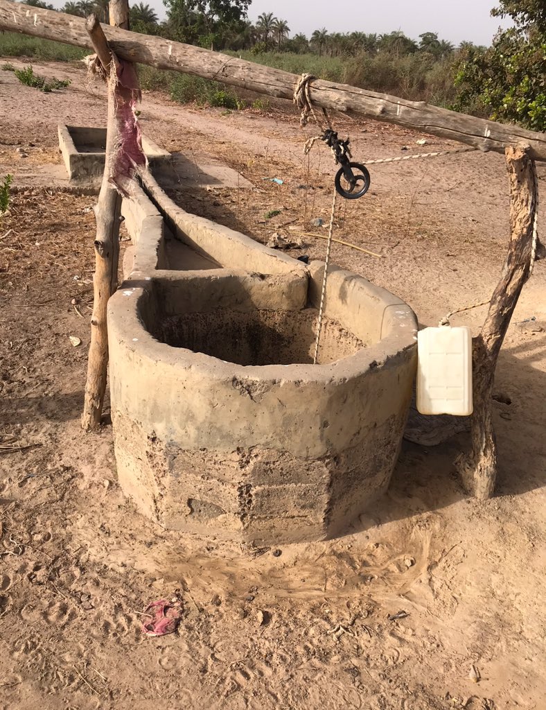 Ebrimasanneh (@ebrimas71927220) on Twitter photo 