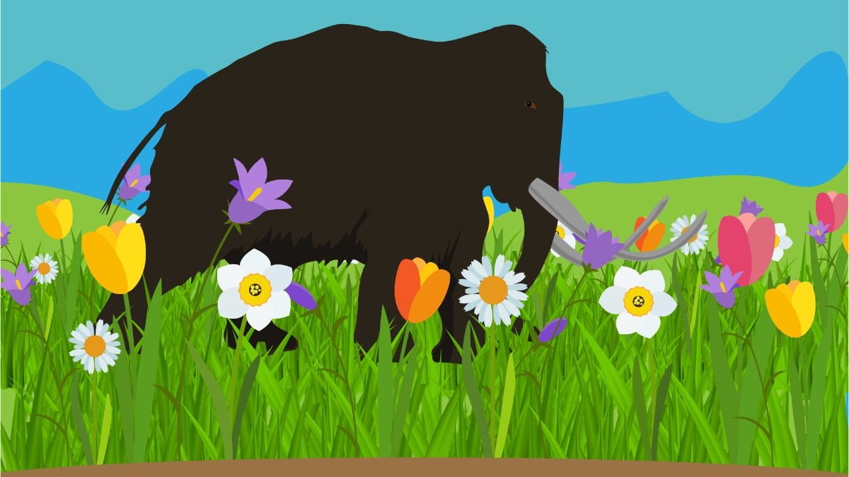 Herbivory Network (@herbivoryn) on Twitter photo The paradox of forbs in #grasslands and the legacy of the #mammoth steppe!! See new paper by Kari Anne Brathen et al. in Frontiers in Ecology & the Environment <a href="/ESAFrontiers/">ESA Frontiers</a> More here: herbivory.lbhi.is/2021/10/18/the… The paradox of forbs in #grasslands and the legacy of the #mammoth steppe!! See new paper by Kari Anne Brathen et al. in Frontiers in Ecology & the Environment <a href="/ESAFrontiers/">ESA Frontiers</a> More here: herbivory.lbhi.is/2021/10/18/the…