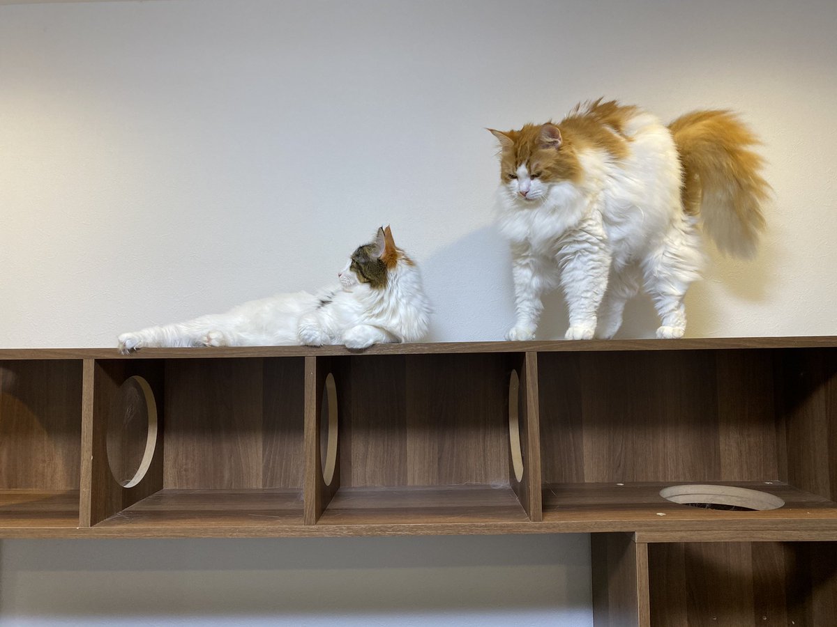 おはようございます