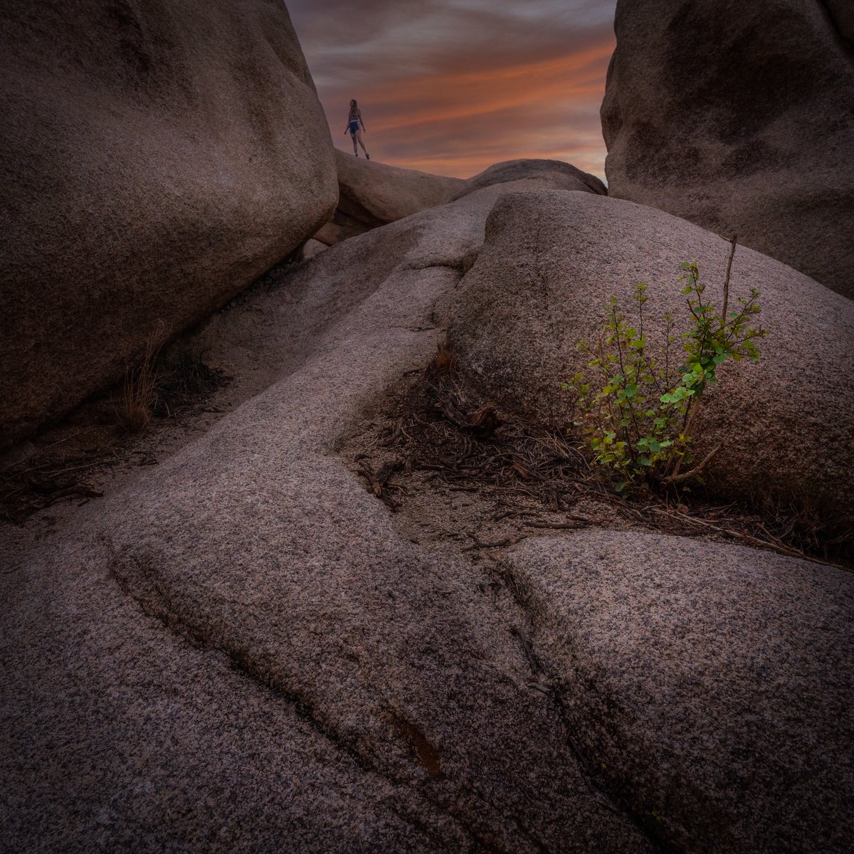 Picnab_Official's tweet photo. Sunset #photography can be extremely difficult to take but the end result could mean extreme calm and peace to the #photo aficionado!

Here's a beautiful image that not just shows hues of #sunset but also the path taken to discover light!

#photooftheday

Image: @intricatexplore https://t.co/Xvu2RaSGju