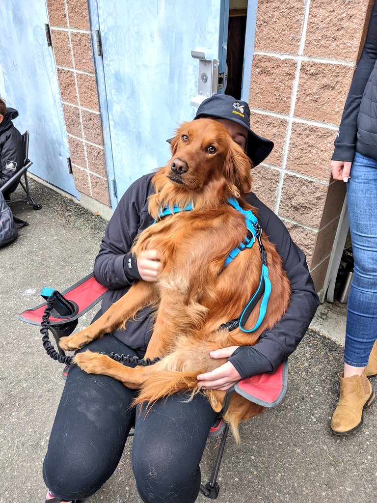 Rigger is pretty serious about Bjug Day... She wants you to know it's tomorrow. It's super easy to donate to what you love. Like Riggers.... Boats... Rowers... just head to plu.edu/bjugday-athlet… donate now... Select Women's Rowing!