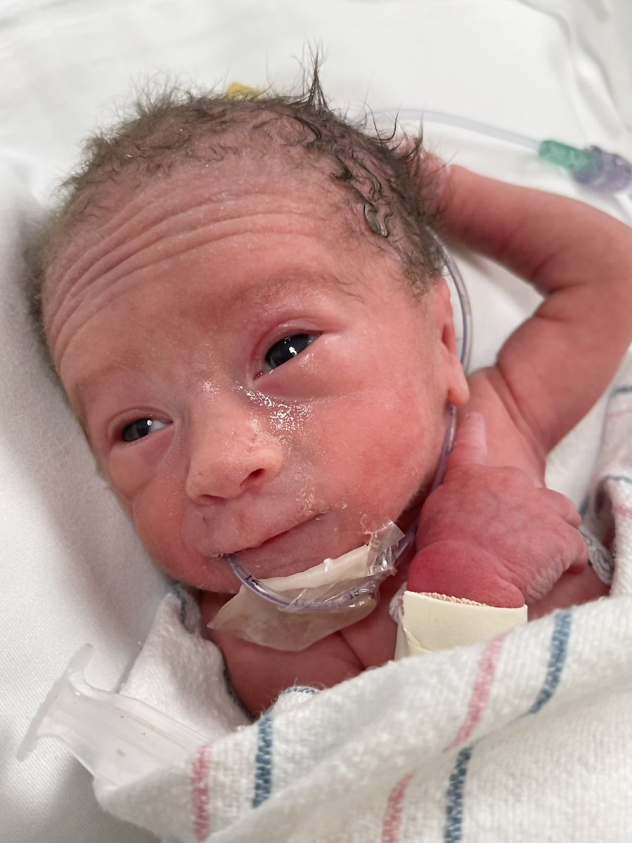 Twitter, meet Everleigh.

Born October 17th
14” long; 2 lbs. 10 oz.

Two months early but so, so strong. I’ll love you forever, little one.