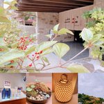 aroma.nagasaki2019のツイート画像