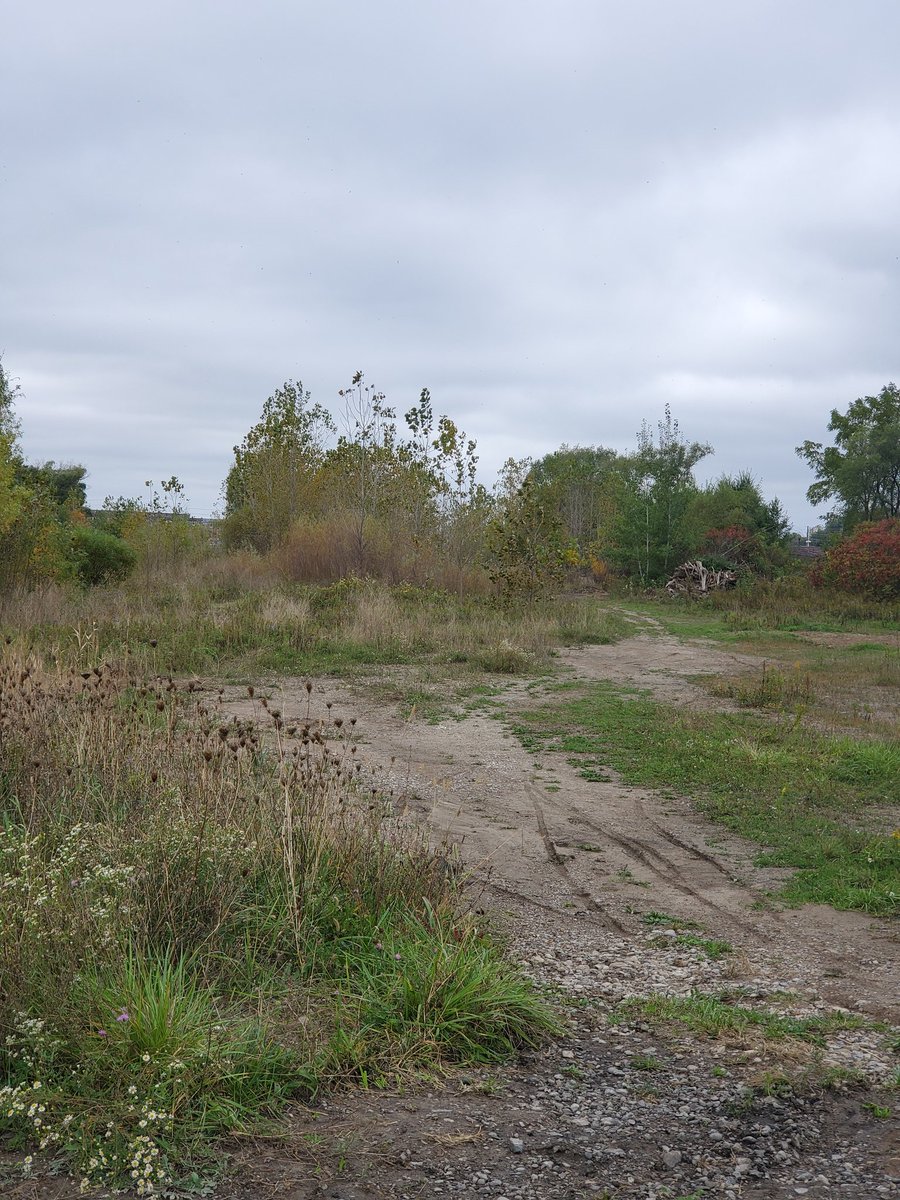 Sabrina Renaud (@sabrinarenaud5) on Twitter photo 