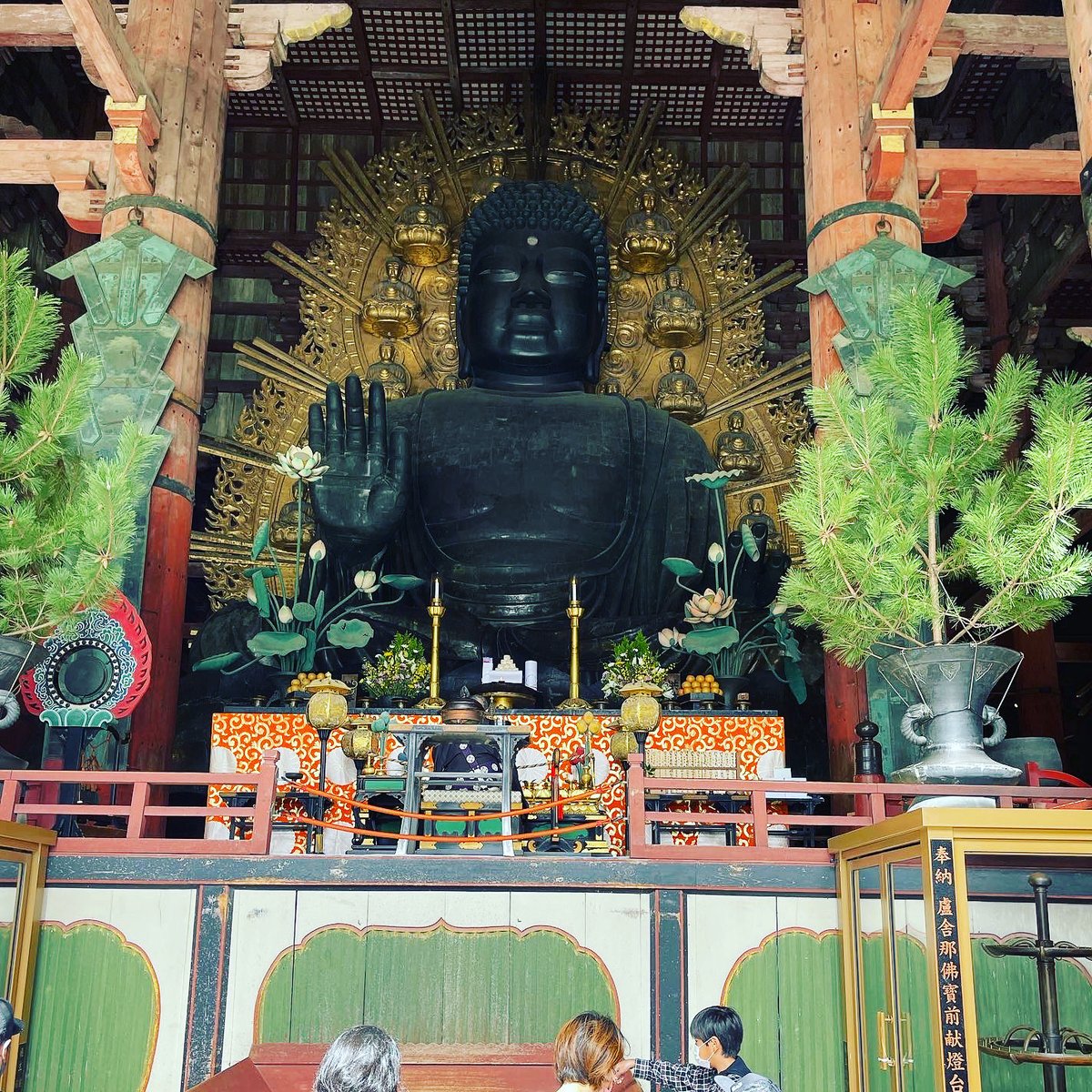 KChaneru's tweet photo. 🍃The Great Buddha of Todaiji Temple🍃
https://t.co/d0o7DXpX6Y

#Japan #japanese #nature #NaturePhotography #PhotoOfTheDay #photography #tuesdaymotivations #tuesdayvibe #travel #travelphotography #like #FolloForFolloBack #YouTuber https://t.co/vqFdZvQxsC
