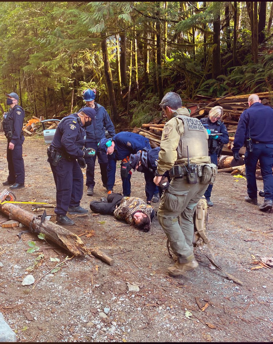 Songstress28's tweet photo. Took this while witnessing the removal/arrest of an Indigenous woman from her homelands 2day-was tough. It speaks more than 1,000 words. The past;the present. For a few moments she looked like she wasn’t breathing. These are unceded Indigenous lands-she is 23. #fairyCreekBlockade https://t.co/DIncx5ki8K