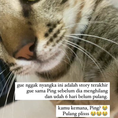 Benazio 🙏🏻's Photo