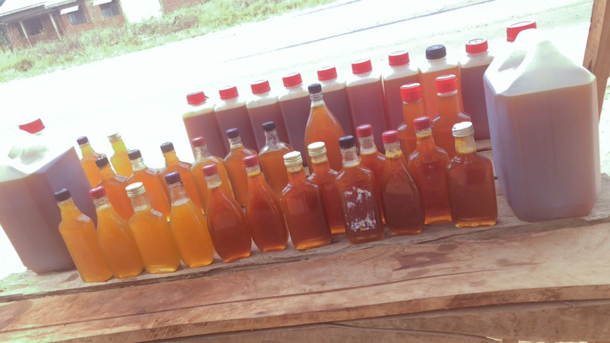 joreenhoney's tweet photo. Our farmers recycle alcohol glass bottles and this helps them save on buying packaging materials since most of them still can’t afford that. We teach them how to properly sterilize the bottles and sell the honey locally. https://t.co/xTl9bjHRCG