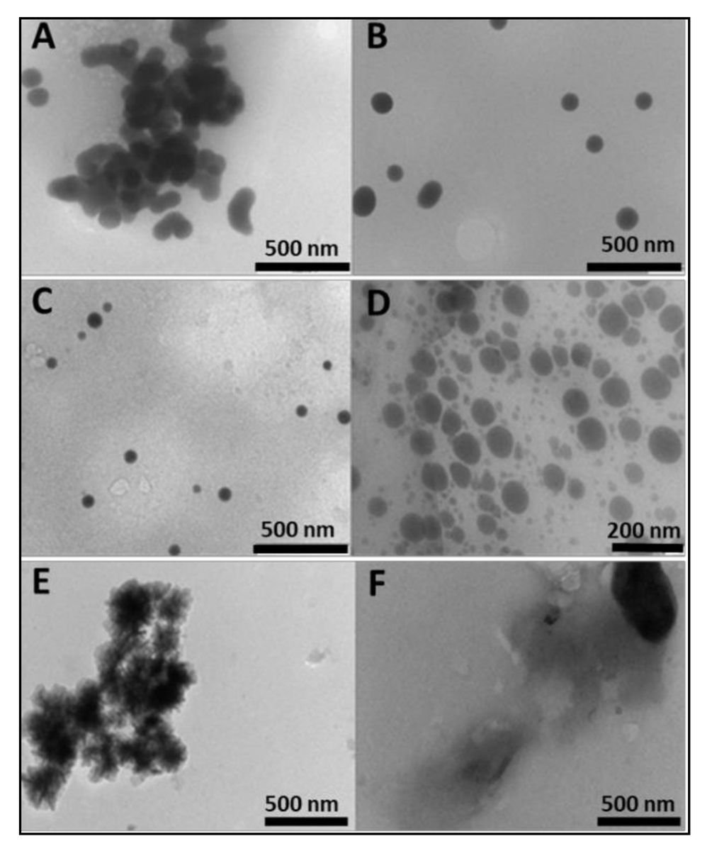 Pharmaceut_MDPI's tweet photo. Pharmaceuticals highly cited Article: Folate-Targeted mRNA Delivery Using #Chitosan-Functionalized #SeleniumNanoparticles: Potential in #Cancer #Immunotherapy. (By Fiona Maiyo and Moganavelli Singh)

#mRNADelivery #Transfection 

📄Free to Read Via:
https://t.co/jgh7lUP2mi https://t.co/a9euz6ehFr