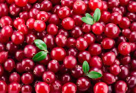 The easiest way to tell if a bunch of cranberries is truly ripe is to toss one on the floor. Seriously. Ripe dry-harvested cranberries are known to bounce back like a rubber ball, which is how you’ll know if they’re ready to be used in one of these cranberry desserts.
