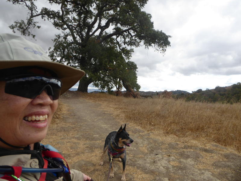 bykenut's tweet photo. #PixInParks #Calero https://t.co/odvanK8fjj