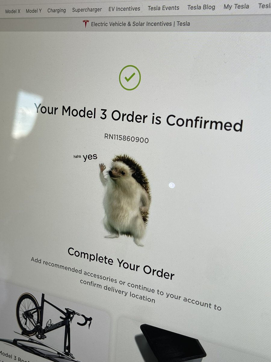 Chillnchameleon's tweet photo. We are giveaway away a fucking Tesla, just ordered it today. We do what we say! Most don’t 🤷🏼‍♂️ https://t.co/kDKzUbrnnf