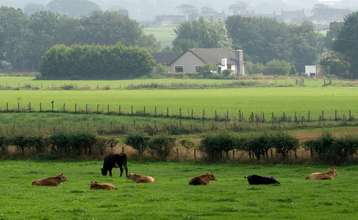 AHDB_Scot's tweet photo. Join us tomorrow for a live webinar at 12pm with Gareth &amp; David Owen, hosts of our new #StrategicDairyFarm @PotstownFarm. They will provide an overview of its background, operations &amp; the team involved. Book now https://t.co/JR36ych1oO @ahdb_dairy @scotdairyhub @Doreen_andersx https://t.co/1tnIc4ZMmY