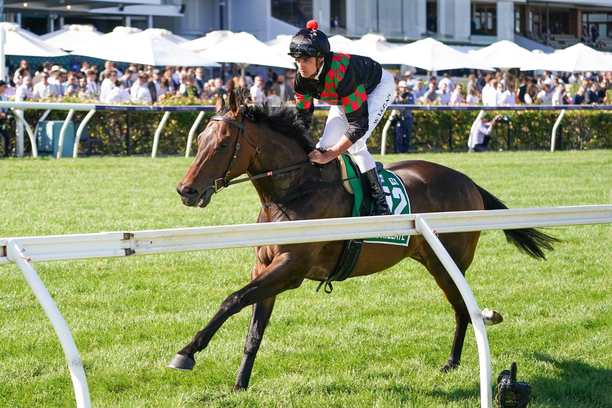 nzracingnews's tweet photo. NEWS: @RRacingStables will be keeping a keen eye on the Geelong Cup tomorrow when #Defibrillate attempts to gain himself a berth in the Melbourne Cup via a top three finish in the Group Three event.
https://t.co/fjhX4B26lc https://t.co/WpZlzgya8r
