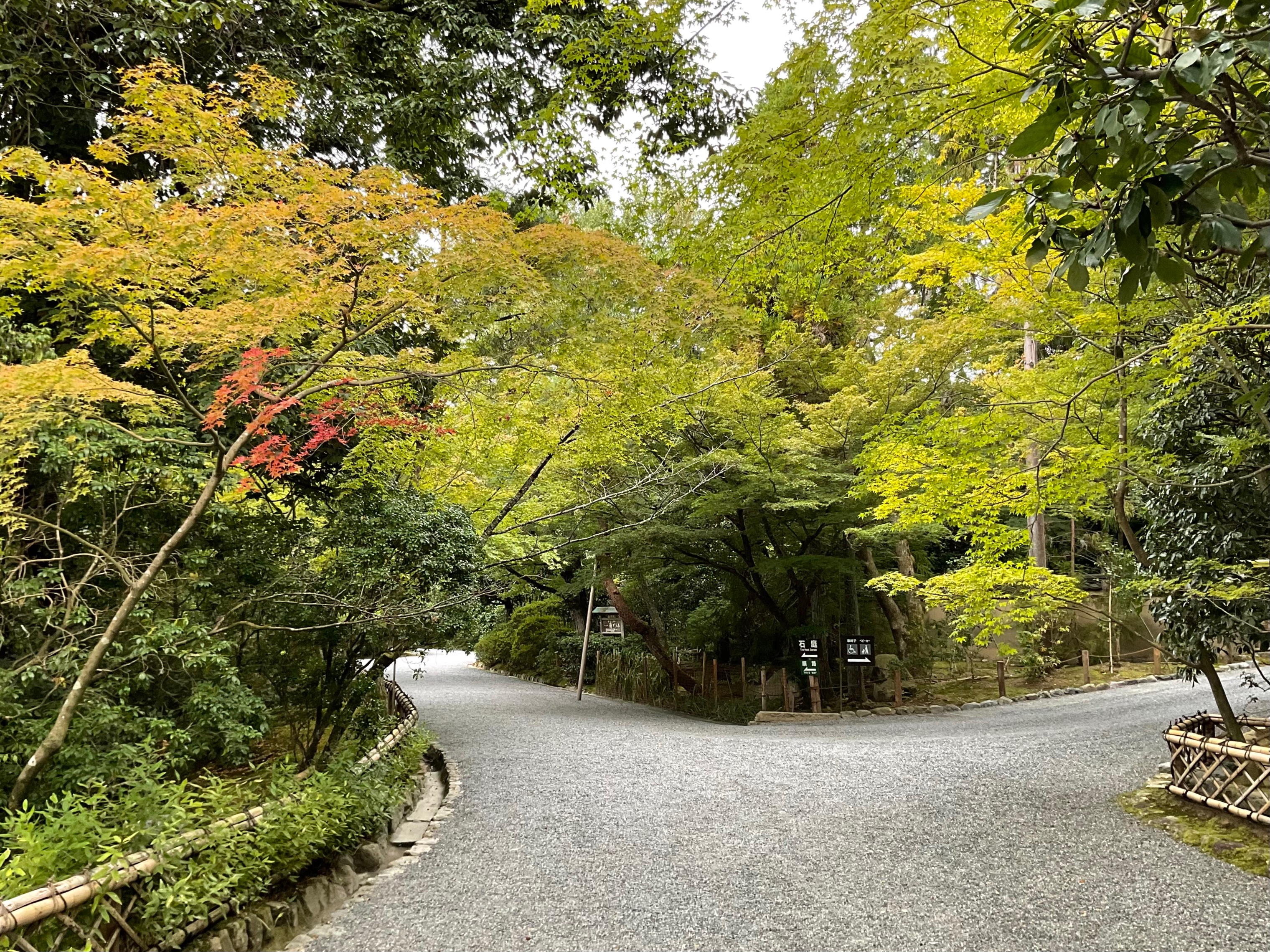 龙安寺的庭院 Ryoanji Chinese Twitter