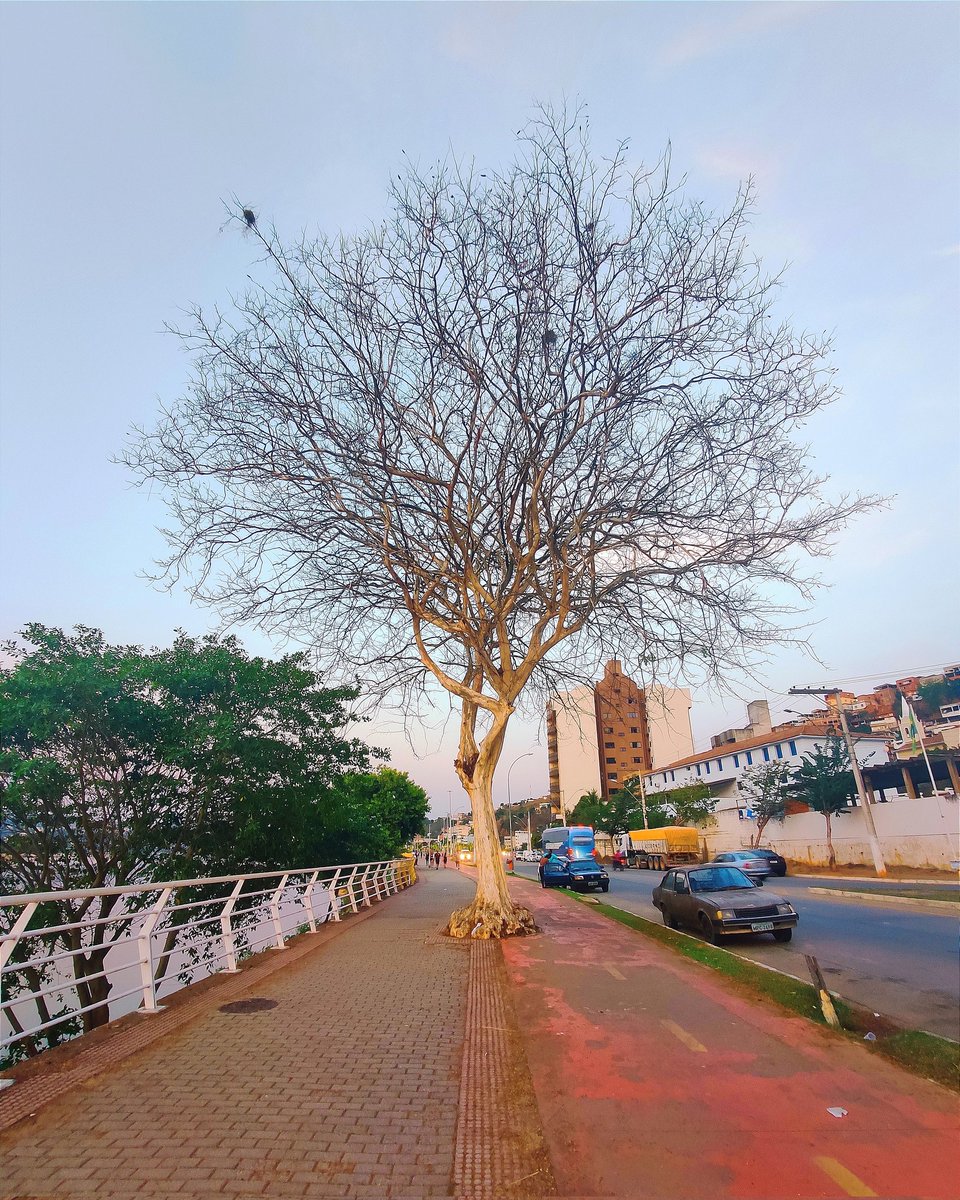 lorgula's tweet image. As vezes a vida parece não ter mais sentido, mas a vida dá voltas, e um dia pelo caminho as coisa hão de melhorar 🍃