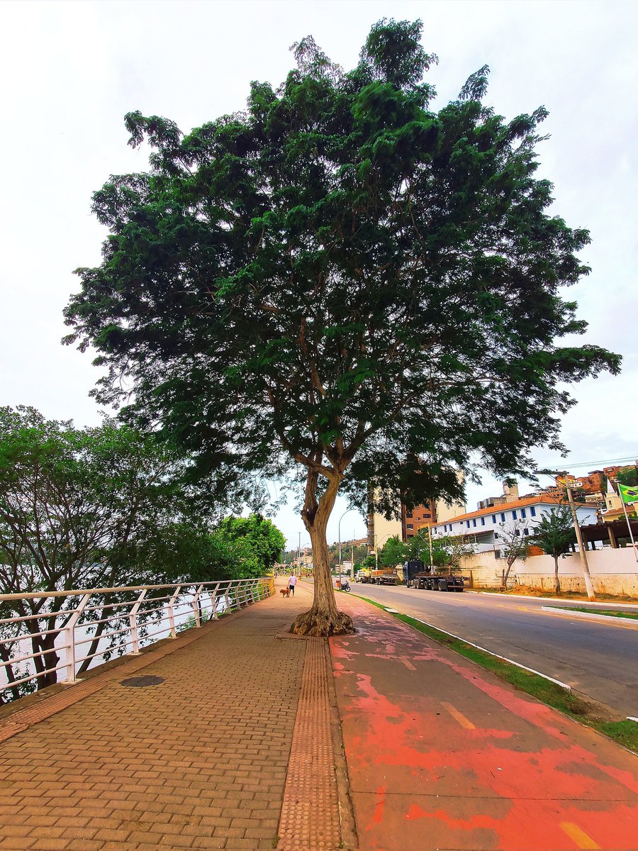 lorgula's tweet image. As vezes a vida parece não ter mais sentido, mas a vida dá voltas, e um dia pelo caminho as coisa hão de melhorar 🍃