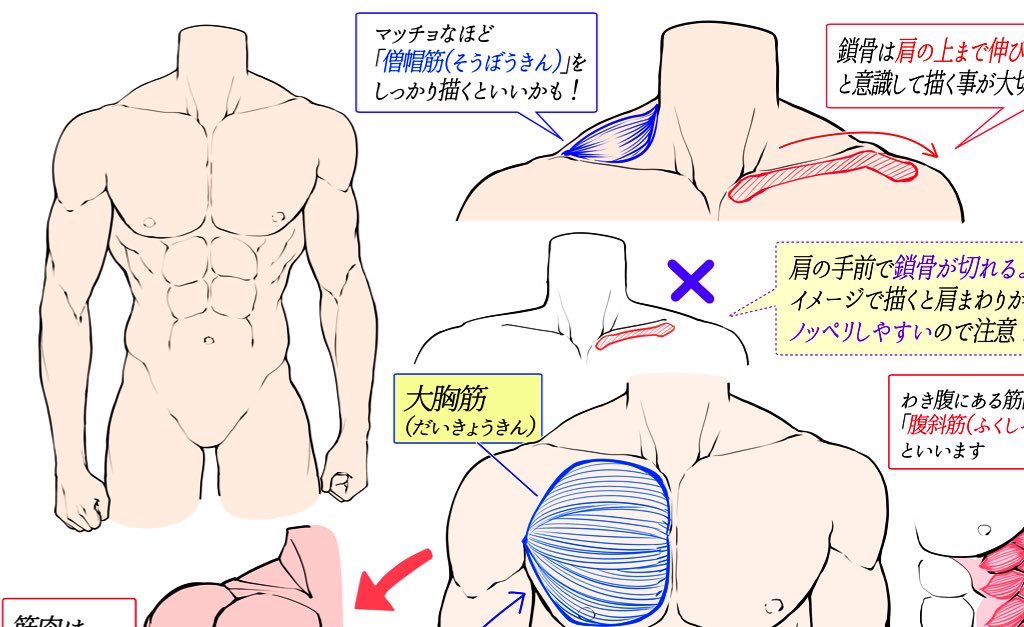 【吉村拓也のFANBOX講座】は

「人体の色んなイラスト講座」の
図書館みたいなものです📔✨
https://t.co/UKiQpTxkj5

「手や足や胴体」の他にも
「顔や髪型の講座👩🏻」も
500枚以上まとめて見放題です📖✨

ステイホームやお家時間を使って
絵が上達したい‼️
て人には「500円プラン」が1番お得です📖✨ 