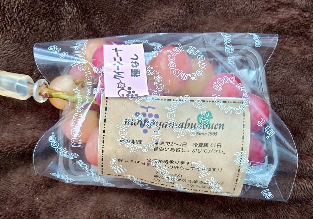 naocha0891's tweet photo. お土産に初クイーンニーナ🍇と
ミラたんバス🚌にめっちゃ大好きなお菓子を購入🤭

目的の1つでもあった
TABI TABI さん(@_tabi_tabi)の
缶バッジとステッカーも購入させて
いただきました😳 https://t.co/OhwiTwohFz